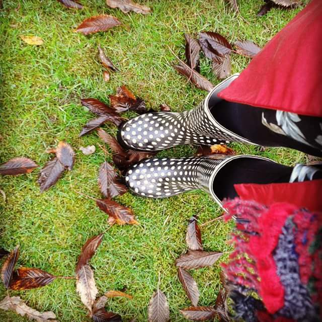 wp-1446661990449 image